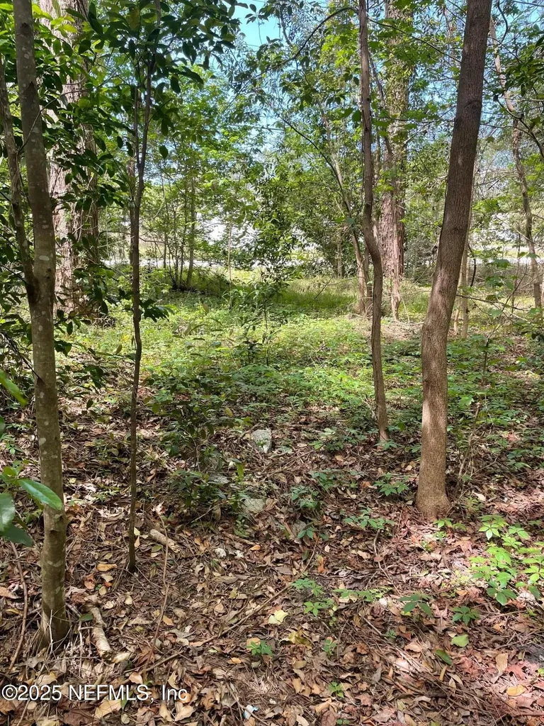106 Bowfin Drive Palatka FL 32177