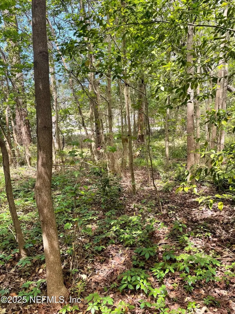 106 Bowfin Drive Palatka FL 32177