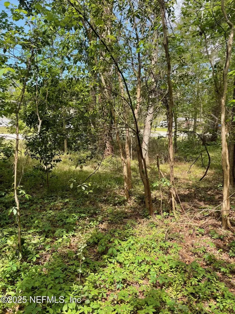 106 Bowfin Drive Palatka FL 32177