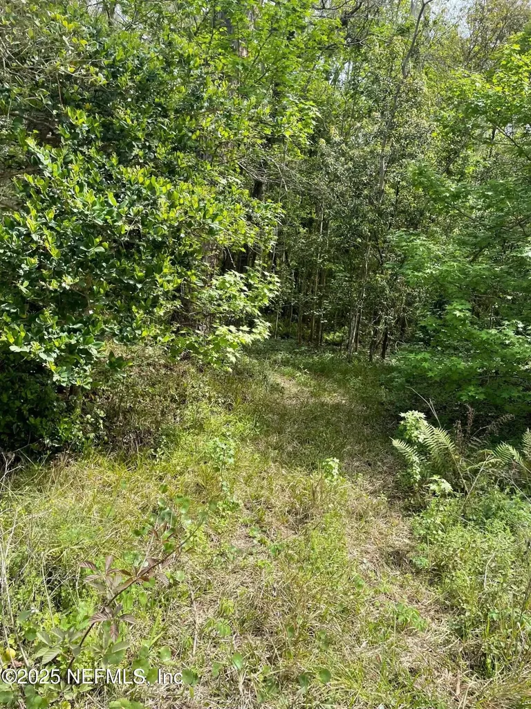 106 Bowfin Drive Palatka FL 32177
