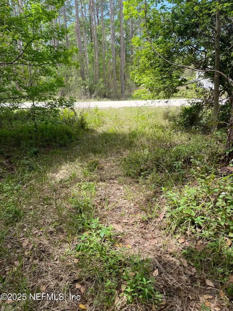 106 Bowfin Drive Palatka FL 32177