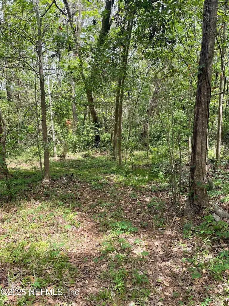 106 Bowfin Drive Palatka FL 32177