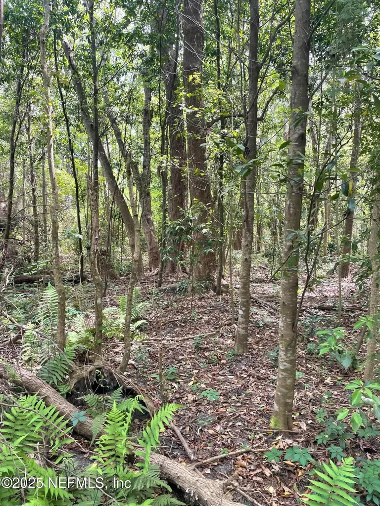 106 Bowfin Drive Palatka FL 32177