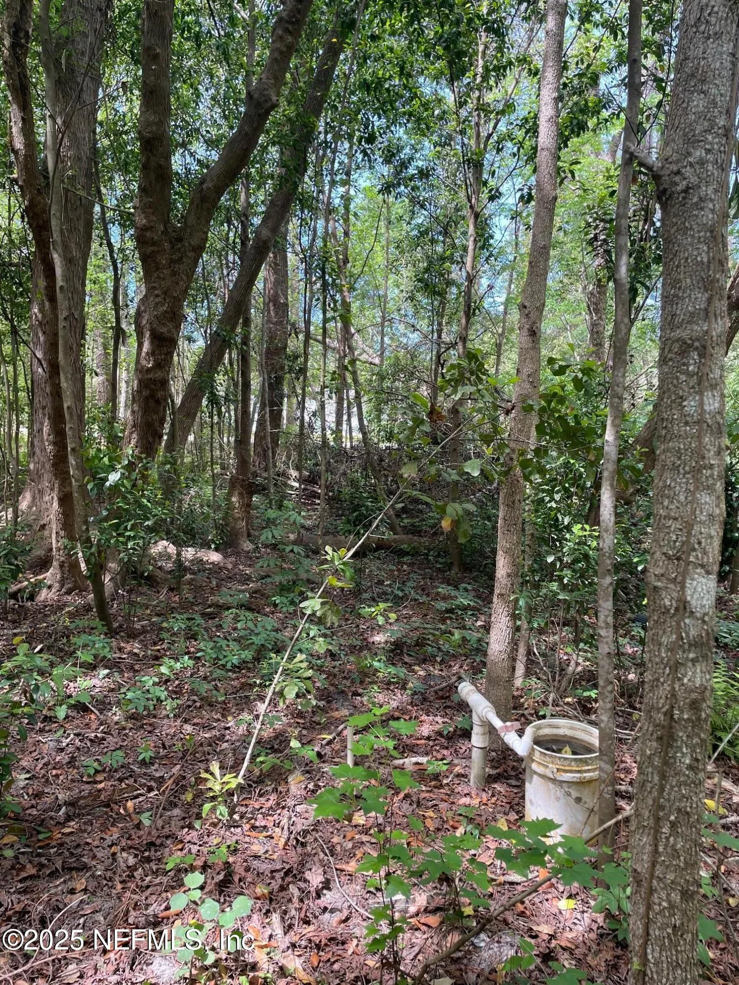 106 Bowfin Drive Palatka FL 32177