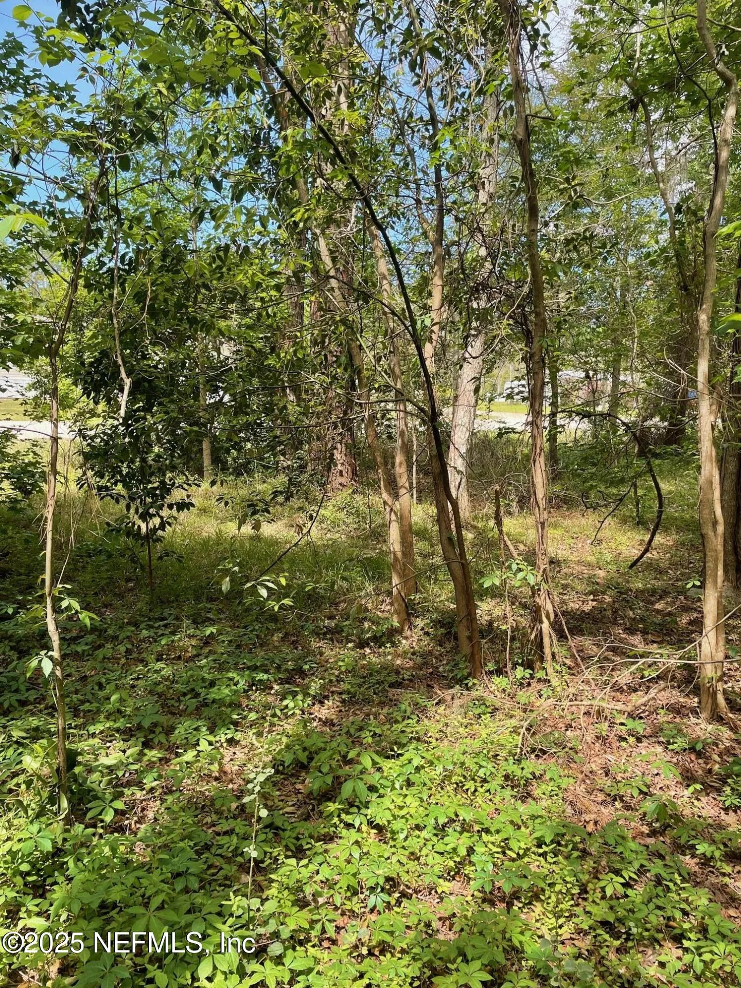 106 Bowfin Drive Palatka FL 32177