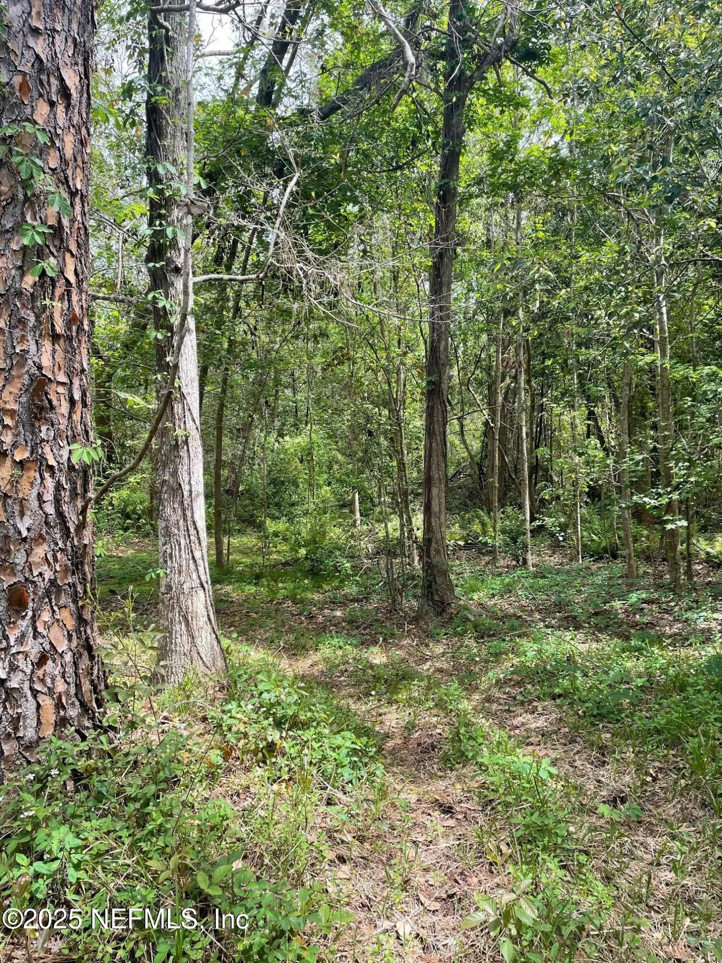 106 Bowfin Drive Palatka FL 32177