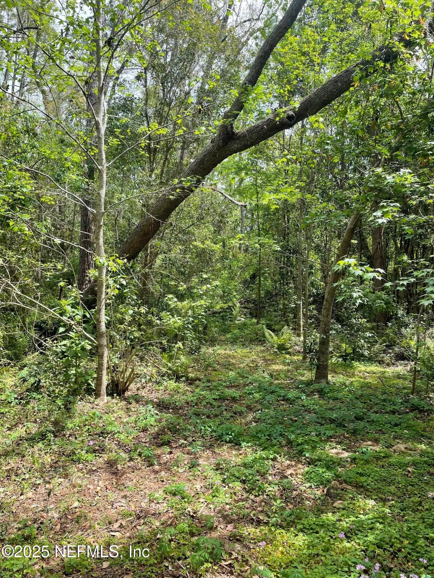 106 Bowfin Drive Palatka FL 32177
