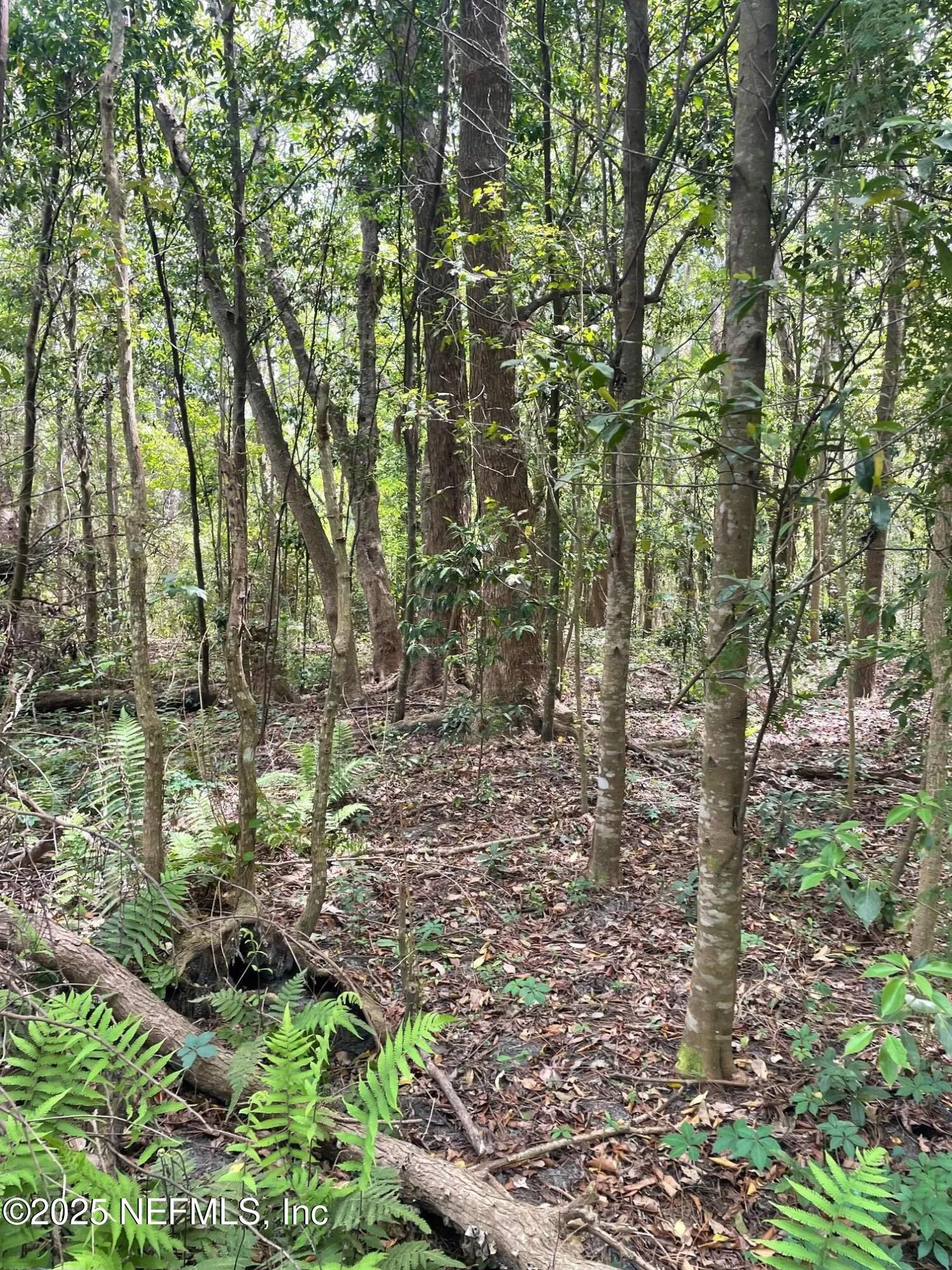 106 Bowfin Drive Palatka FL 32177