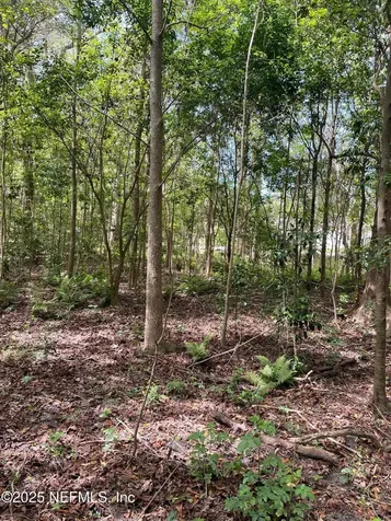 106 Bowfin Drive Palatka FL 32177