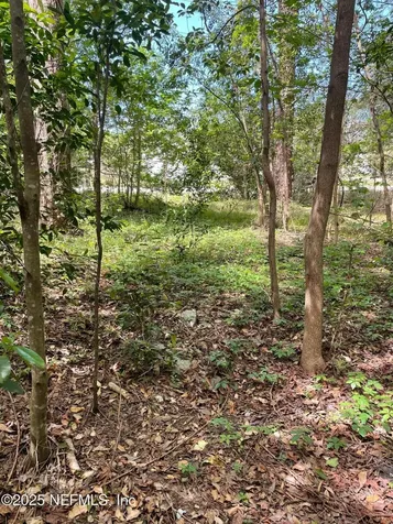 106 Bowfin Drive Palatka FL 32177