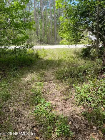 106 Bowfin Drive Palatka FL 32177
