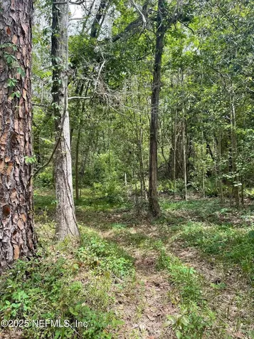 106 Bowfin Drive Palatka FL 32177