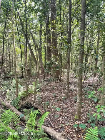 106 Bowfin Drive Palatka FL 32177