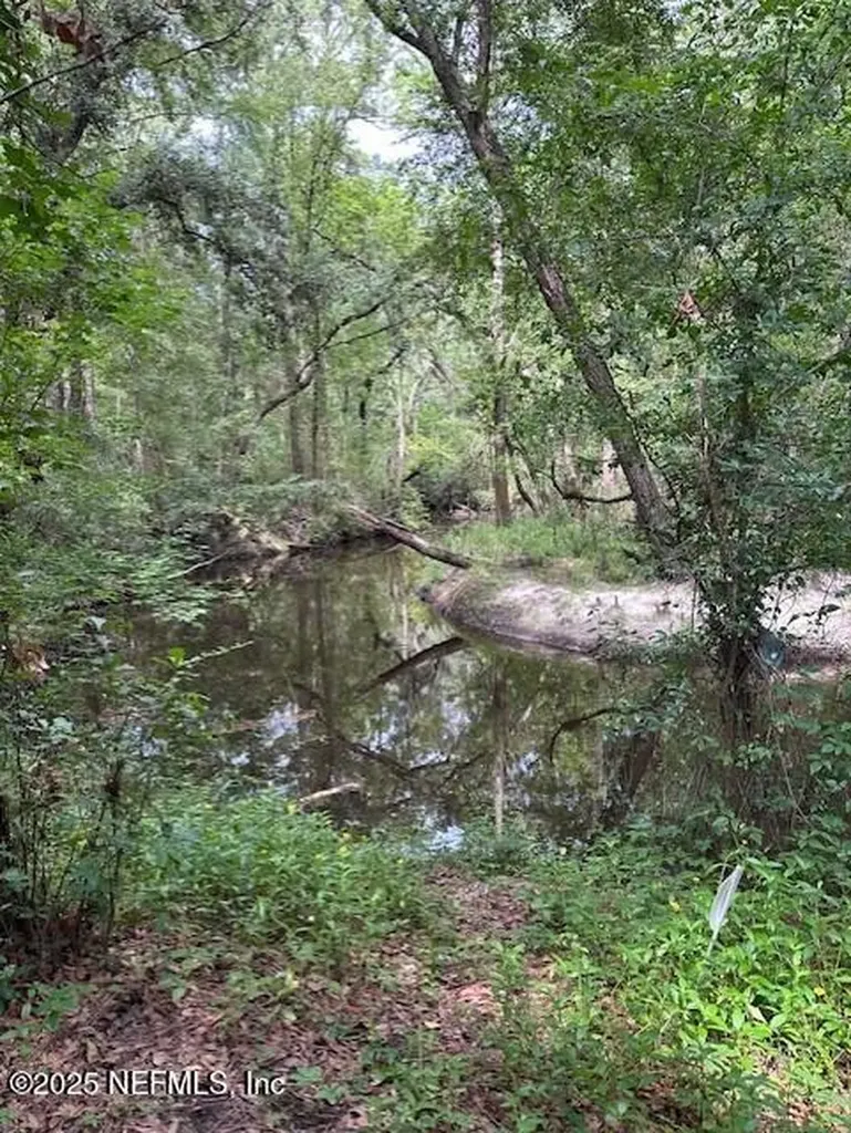 10216 River Oaks Drive Glen St. Mary FL 32040