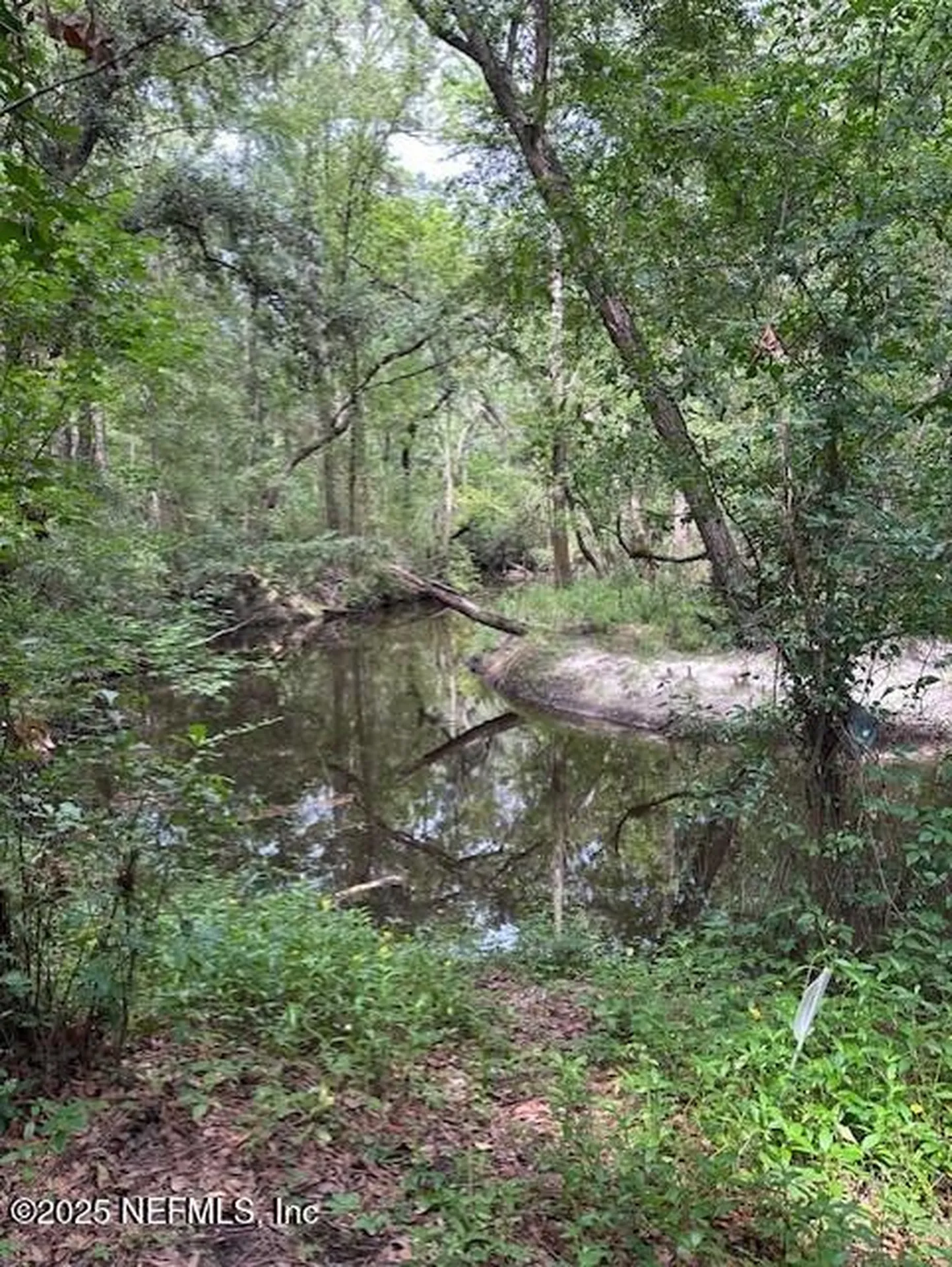 10216 River Oaks Drive Glen St. Mary FL 32040