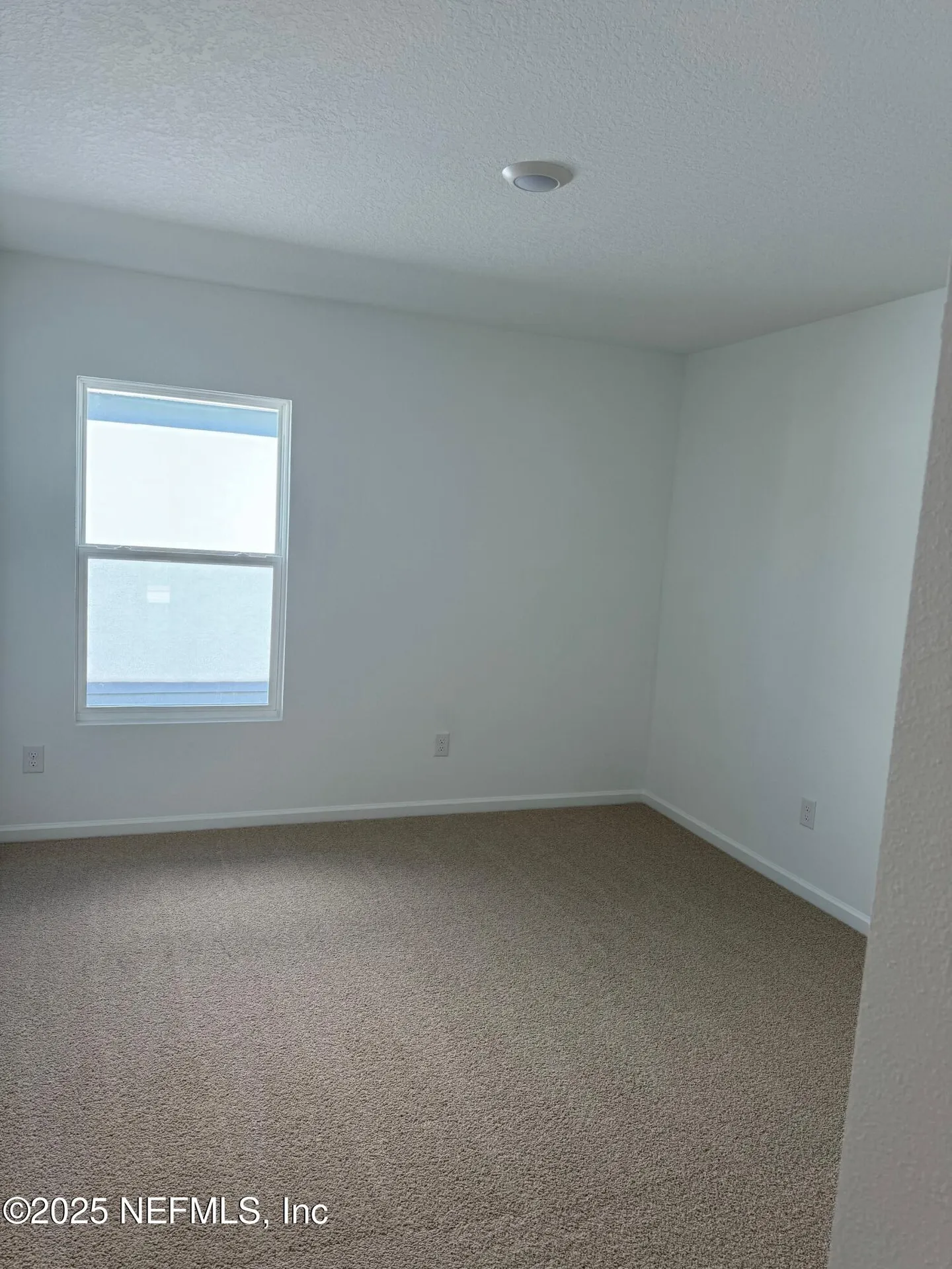167 Greenwood Drive Palm Coast FL 32137