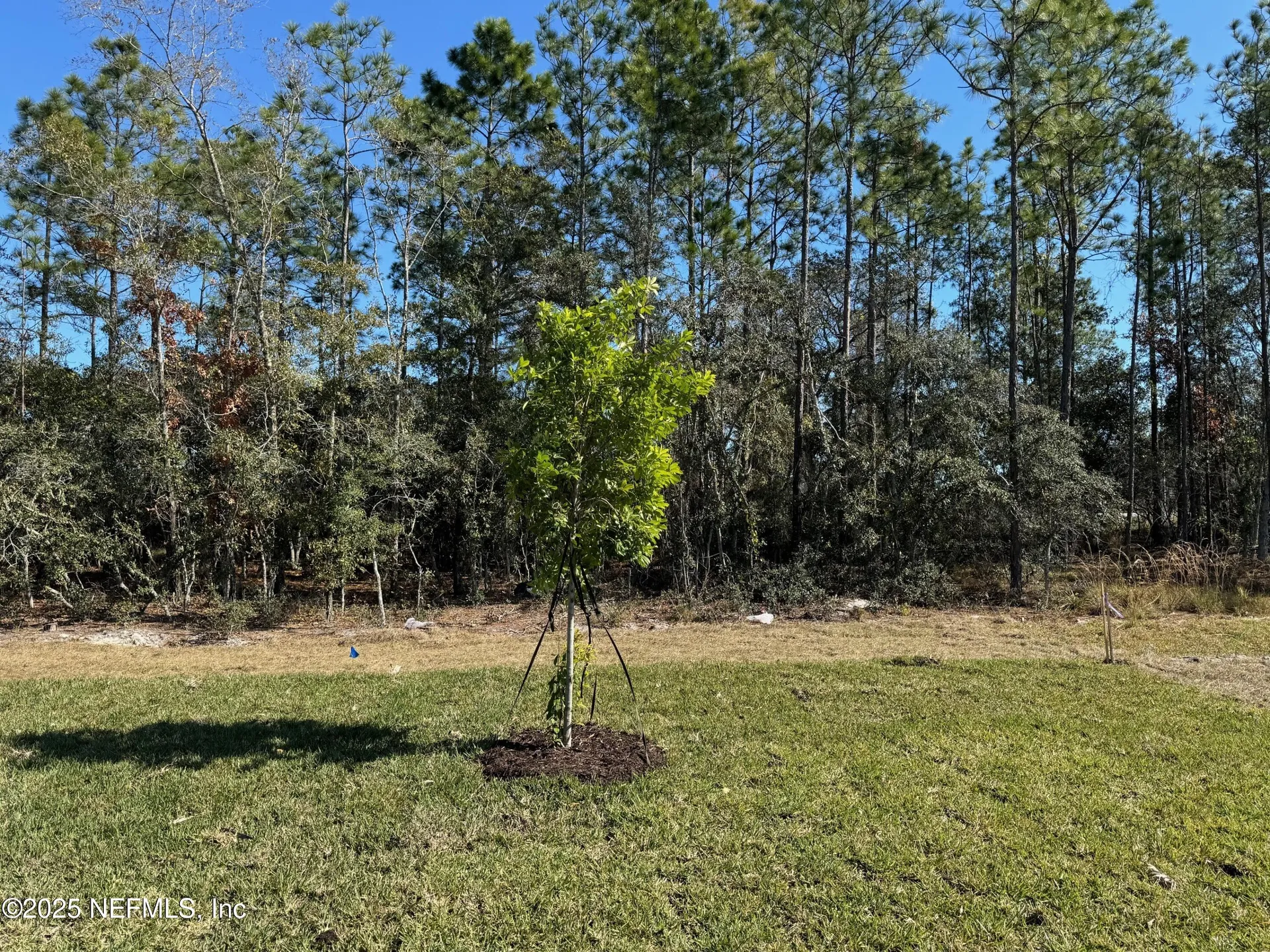167 Greenwood Drive Palm Coast FL 32137