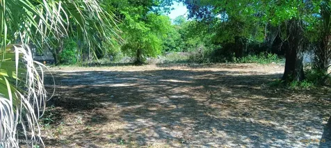 816 Ashford Street Jacksonville FL 32208