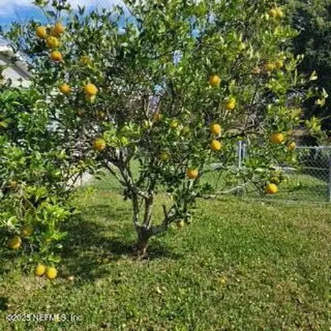 224 Baracoa Court St. Augustine FL 32086