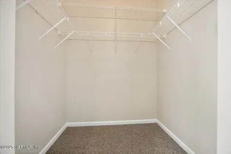 1420 Dog Fennel Court Orange Park FL 32073