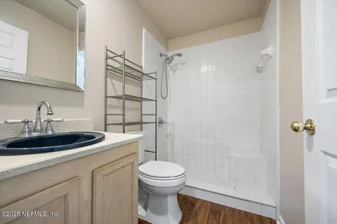 1420 Dog Fennel Court Orange Park FL 32073