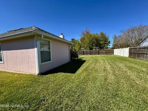 1420 Dog Fennel Court Orange Park FL 32073