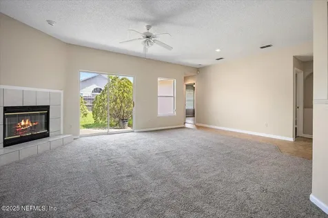 1420 Dog Fennel Court Orange Park FL 32073