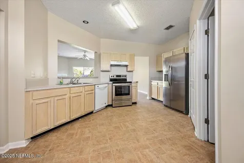 1420 Dog Fennel Court Orange Park FL 32073