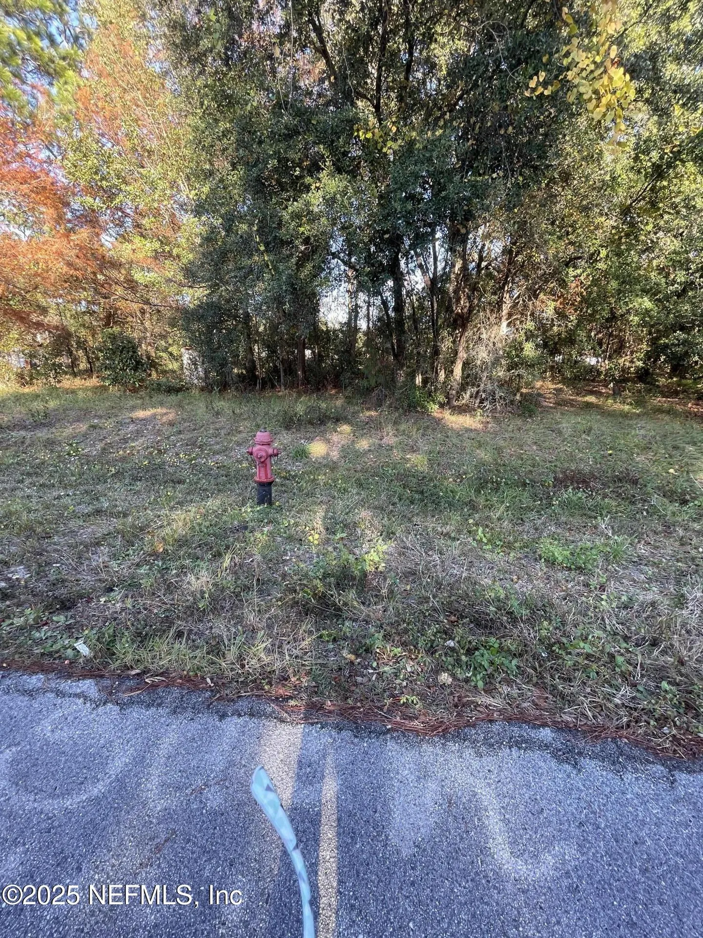 248 Tarpon Boulevard Palatka FL 32177
