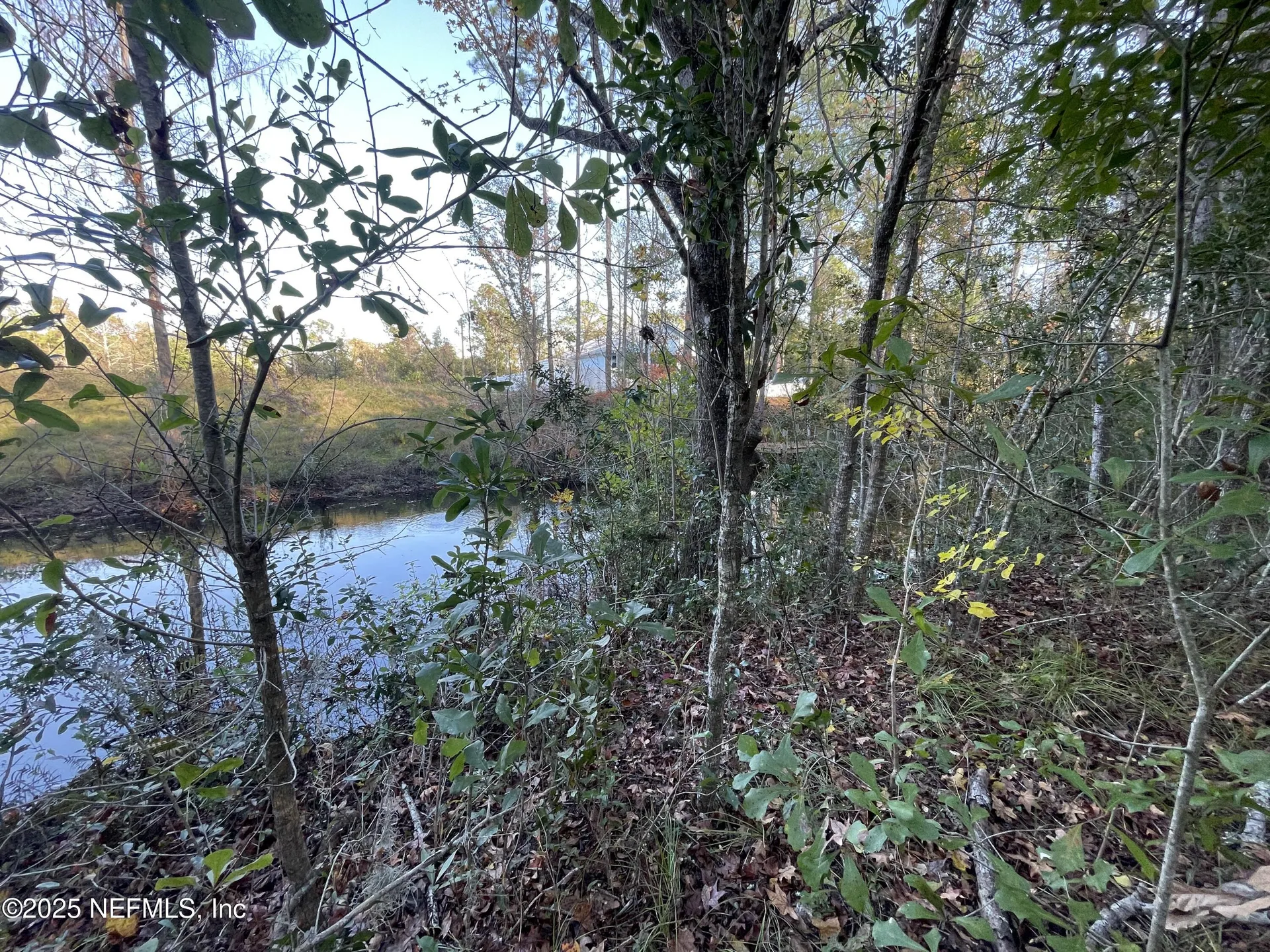 248 Tarpon Boulevard Palatka FL 32177
