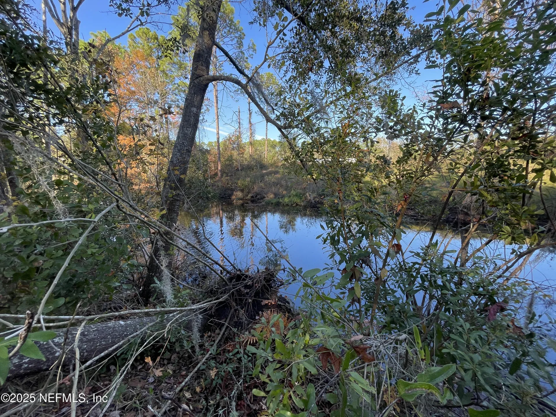 248 Tarpon Boulevard Palatka FL 32177