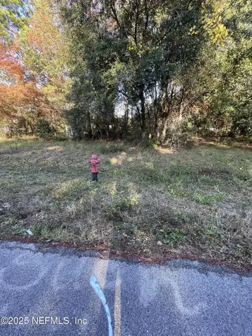 248 Tarpon Boulevard Palatka FL 32177