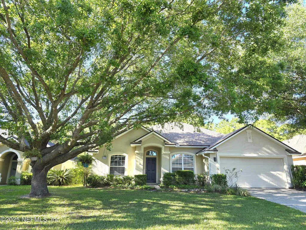 2998 Piedmont Manor Drive Orange Park FL 32065