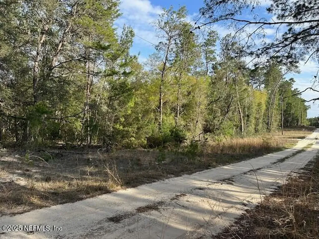 114 Desoto Street Florahome FL 32140