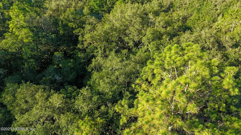 0 Old Woods Road Interlachen FL 32148