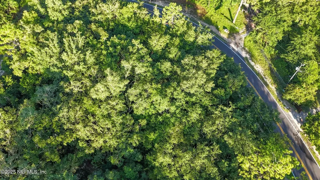 0 Old Woods Road Interlachen FL 32148