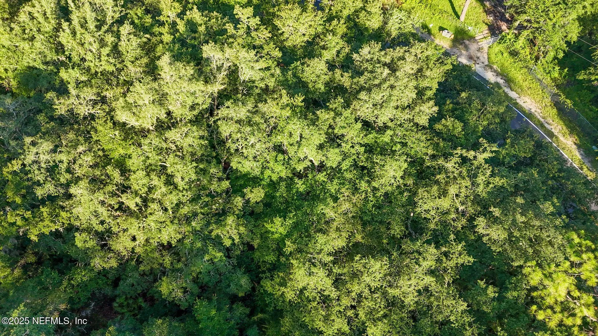 0 Old Woods Road Interlachen FL 32148