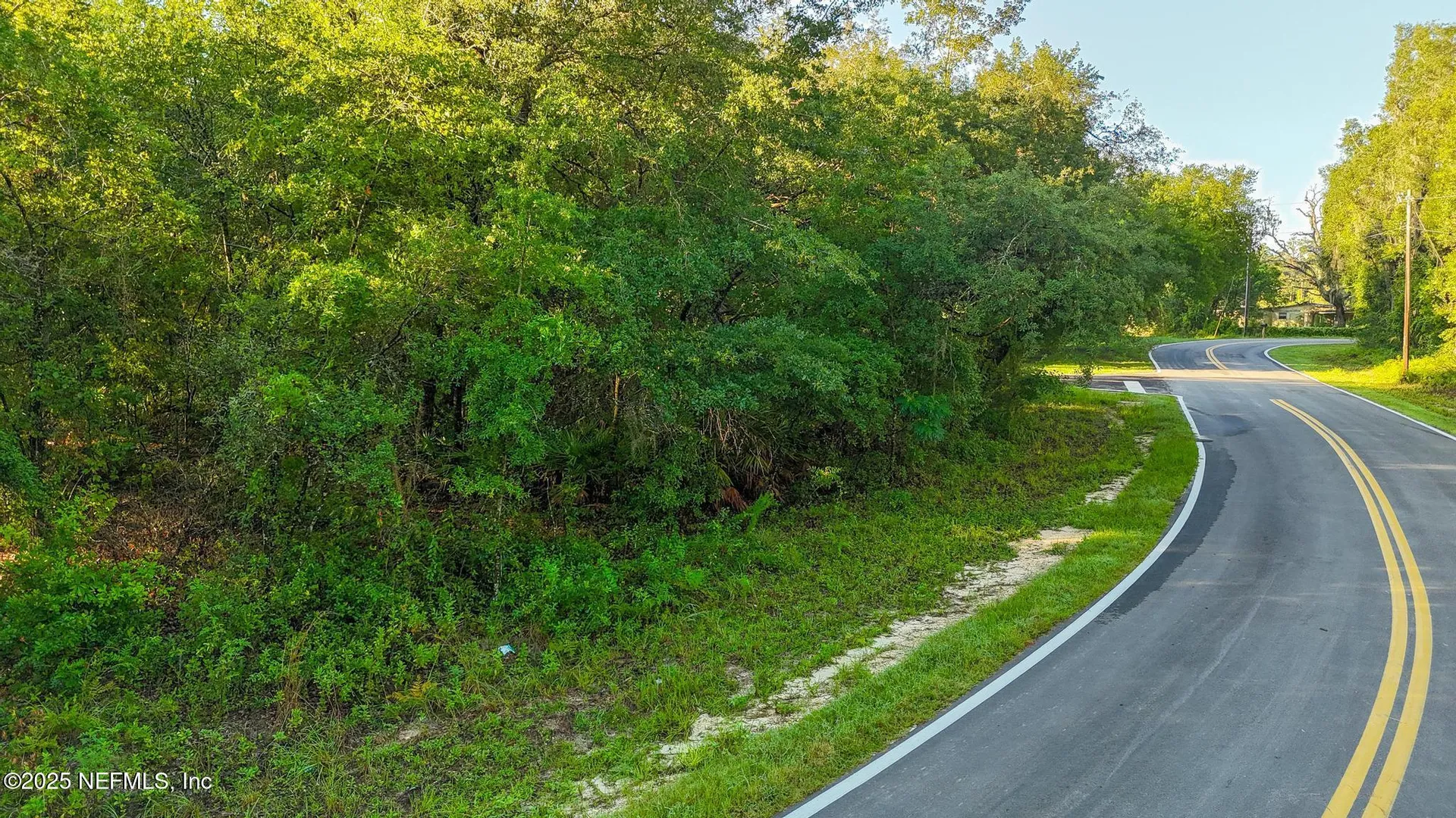 0 Old Woods Road Interlachen FL 32148