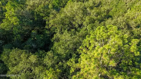 0 Old Woods Road Interlachen FL 32148