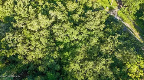 0 Old Woods Road Interlachen FL 32148