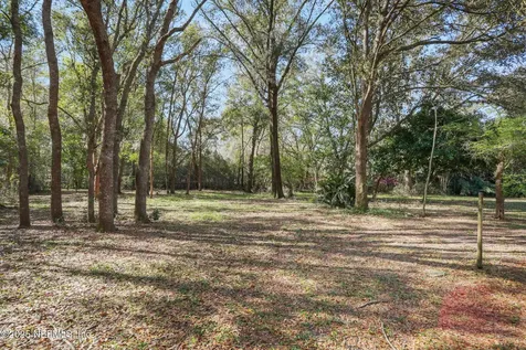 4169 Waterlily Court Middleburg FL 32068
