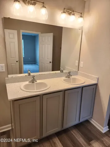 3361 Loofah Place Green Cove Springs FL 32043