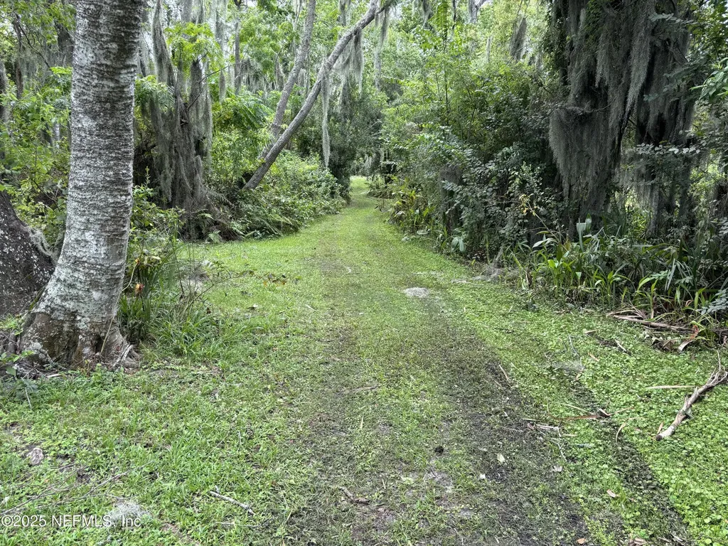 6001 Bird Island Drive Lady Lake FL 32159