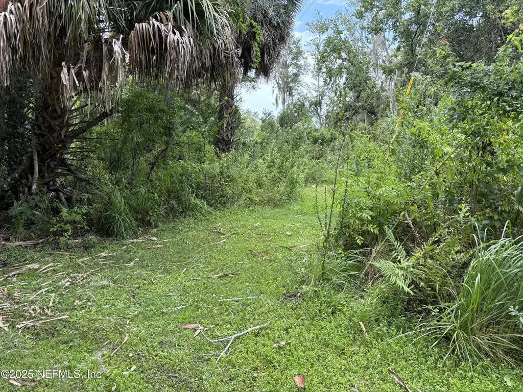 6001 Bird Island Drive Lady Lake FL 32159