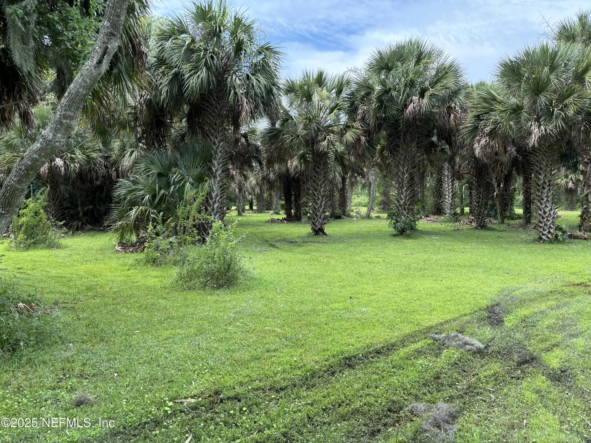 6001 Bird Island Drive Lady Lake FL 32159