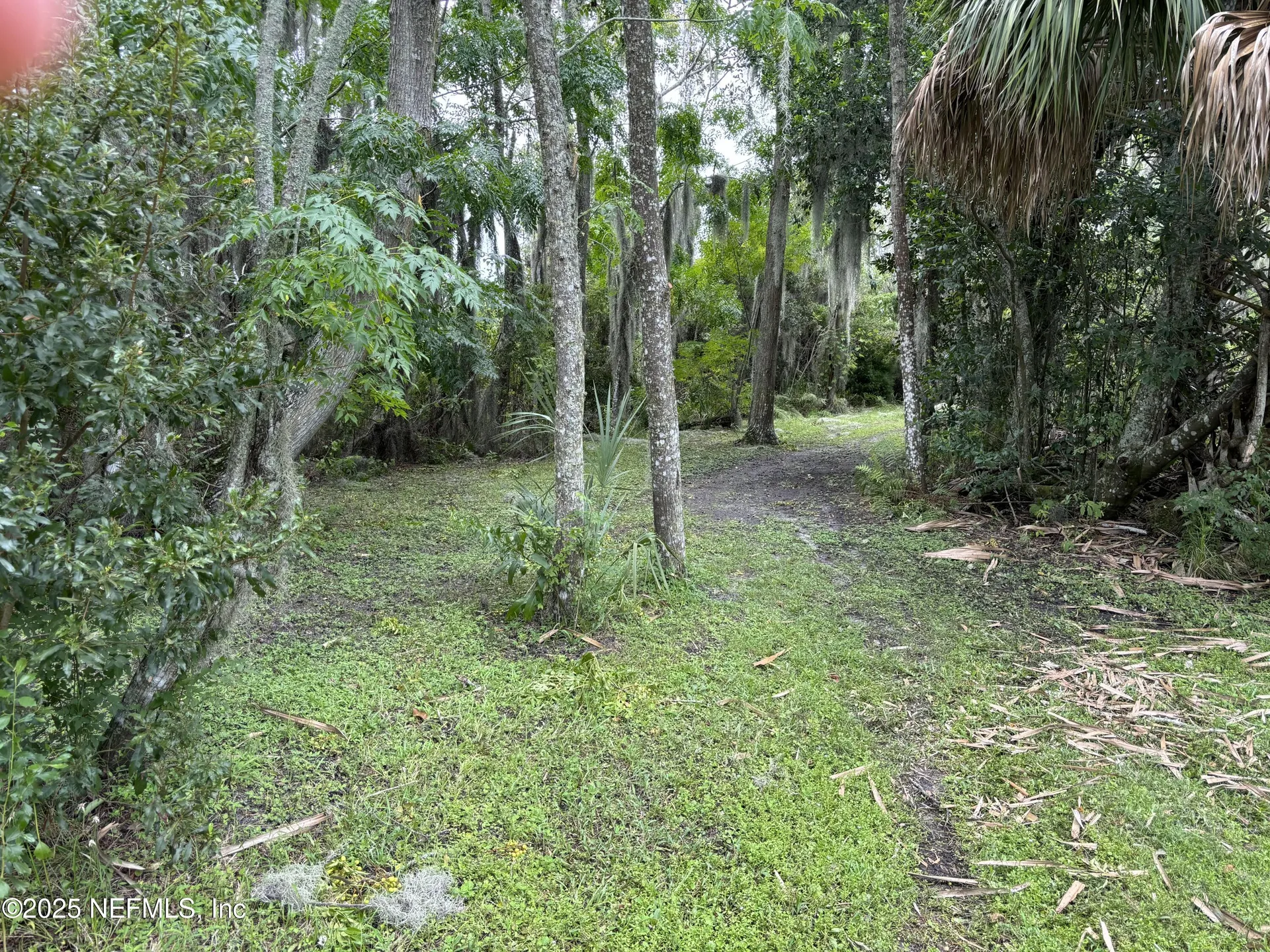 6001 Bird Island Drive Lady Lake FL 32159