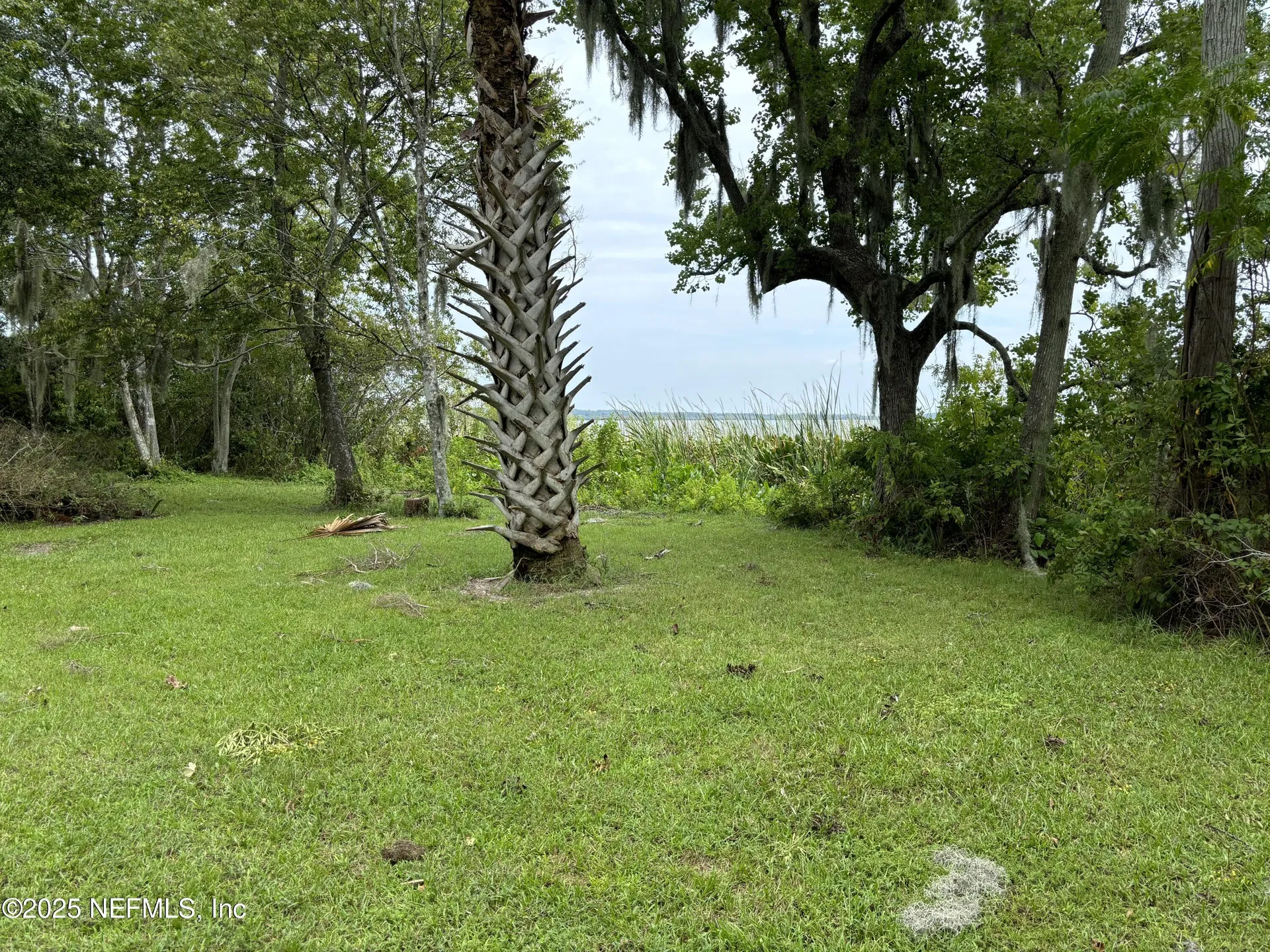 6001 Bird Island Drive Lady Lake FL 32159