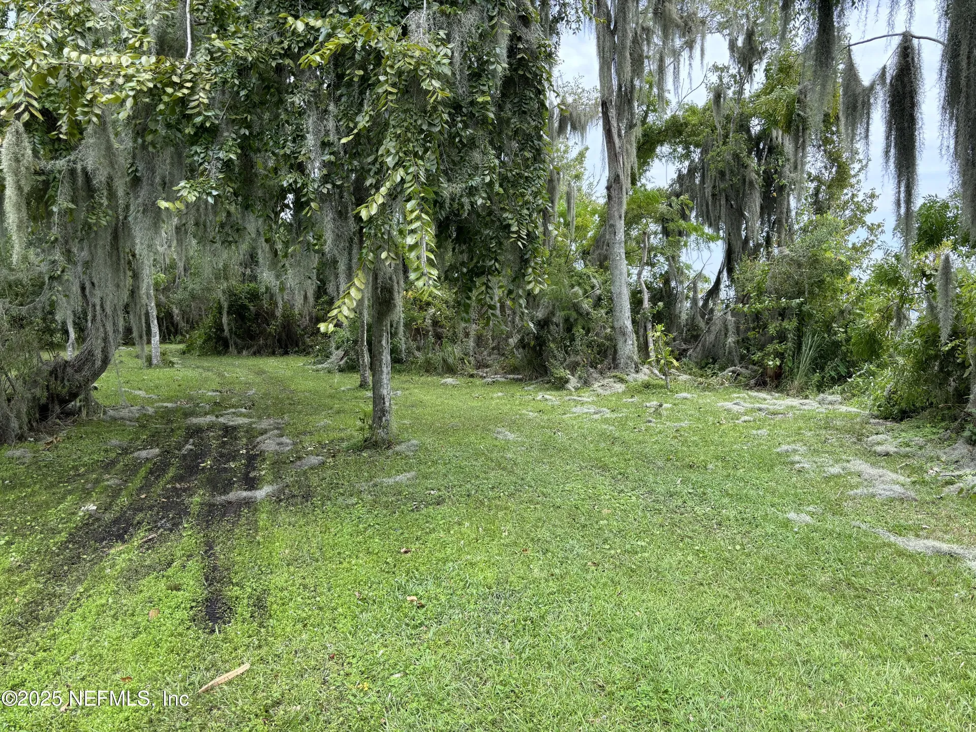 6001 Bird Island Drive Lady Lake FL 32159