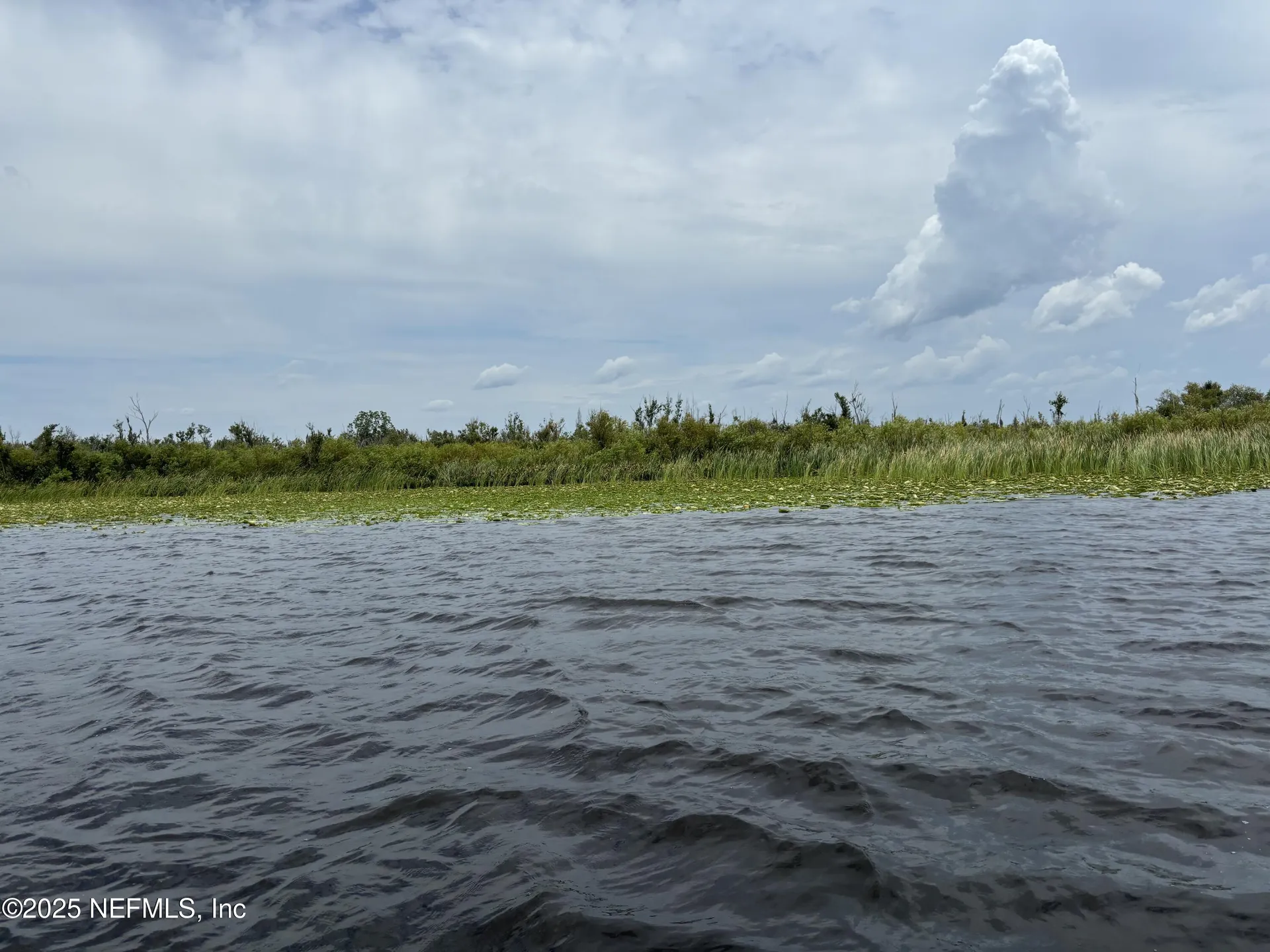 6001 Bird Island Drive Lady Lake FL 32159
