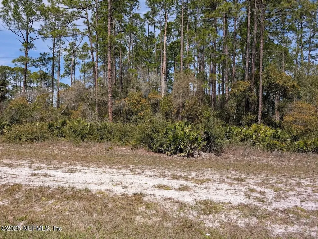 350 & 354 Georgetown Denver Road Georgetown FL 32139